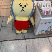 ヒメ日記 2025/01/16 12:20 投稿 ことね My Essentials