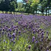 ヒメ日記 2025/07/21 12:50 投稿 ことね My Essentials