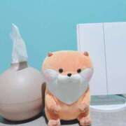 ヒメ日記 2025/10/03 22:31 投稿 ことね My Essentials