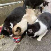 ヒメ日記 2025/12/13 14:01 投稿 ゆり ロイヤルヴィトン(宇都宮)