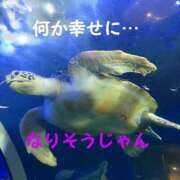 ヒメ日記 2024/01/03 20:46 投稿 空-くう 熟女10000円デリヘル 川崎