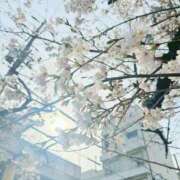 ヒメ日記 2025/03/31 18:03 投稿 かぬれ ていくぷらいど.学園