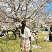 ヒメ日記 2025/04/10 00:08 投稿 かぬれ ていくぷらいど.学園