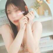 ヒメ日記 2025/04/11 08:53 投稿 かぬれ ていくぷらいど.学園