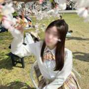 ヒメ日記 2025/04/17 13:38 投稿 かぬれ ていくぷらいど.学園