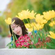 ヒメ日記 2025/05/04 18:15 投稿 かぬれ ていくぷらいど.学園