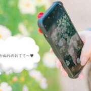 ヒメ日記 2025/11/18 22:26 投稿 かぬれ ていくぷらいど.学園