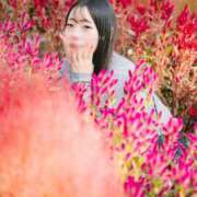 ヒメ日記 2025/11/23 22:34 投稿 かぬれ ていくぷらいど.学園