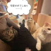 かぬれ 🌼 お休みの記録✍🏻✨ ていくぷらいど.学園