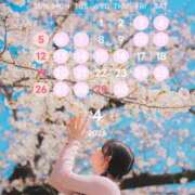 ヒメ日記 2026/04/08 19:55 投稿 かぬれ ていくぷらいど.学園