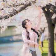 ヒメ日記 2026/04/11 14:48 投稿 かぬれ ていくぷらいど.学園