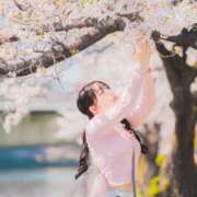 かぬれ 🌷かぬれとは…📖  ̖́- ていくぷらいど.学園