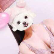 ヒメ日記 2025/03/12 06:20 投稿 ひまり 池袋マリン別館