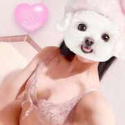 ヒメ日記 2025/03/19 06:20 投稿 ひまり 池袋マリン別館