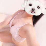 ヒメ日記 2025/03/24 06:20 投稿 ひまり 池袋マリン別館