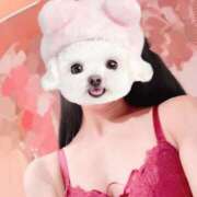 ヒメ日記 2025/04/08 12:50 投稿 ひまり 池袋マリン別館