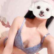 ヒメ日記 2025/04/10 06:20 投稿 ひまり 池袋マリン別館