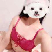 ヒメ日記 2025/04/14 11:00 投稿 ひまり 池袋マリン別館