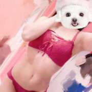 ヒメ日記 2025/04/21 08:00 投稿 ひまり 池袋マリン別館