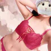 ヒメ日記 2025/05/30 08:36 投稿 ひまり 池袋マリン別館