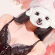 ヒメ日記 2025/06/12 12:30 投稿 ひまり 池袋マリン別館