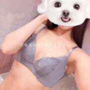 ヒメ日記 2025/06/30 06:40 投稿 ひまり 池袋マリン別館