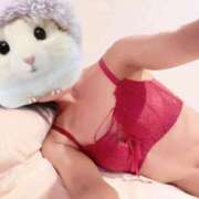 ヒメ日記 2025/07/17 07:50 投稿 ひまり 池袋マリン別館