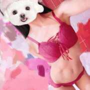 ヒメ日記 2025/08/14 12:15 投稿 ひまり 池袋マリン別館