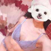 ヒメ日記 2025/09/16 09:45 投稿 ひまり 池袋マリン別館