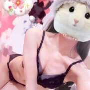 ヒメ日記 2025/09/30 12:33 投稿 ひまり 池袋マリン別館