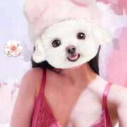 ヒメ日記 2025/10/17 12:25 投稿 ひまり 池袋マリン別館