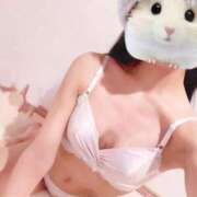 ヒメ日記 2025/10/22 12:05 投稿 ひまり 池袋マリン別館