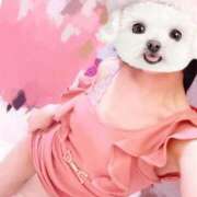 ヒメ日記 2025/10/24 12:09 投稿 ひまり 池袋マリン別館