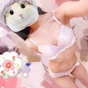 ヒメ日記 2025/10/27 07:45 投稿 ひまり 池袋マリン別館