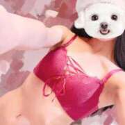 ヒメ日記 2025/12/18 14:10 投稿 ひまり 池袋マリン別館