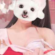 ヒメ日記 2025/12/23 14:25 投稿 ひまり 池袋マリン別館