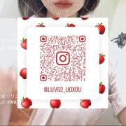 ヒメ日記 2025/02/17 13:19 投稿 りんご 札幌しこたまクリニック