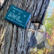 ヒメ日記 2025/05/07 21:49 投稿 りんご 札幌しこたまクリニック