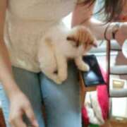 ヒメ日記 2025/02/22 10:55 投稿 ののか 奥様鉄道69 東京店