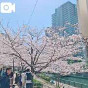 ヒメ日記 2025/04/05 11:26 投稿 ののか 奥様鉄道69 東京店