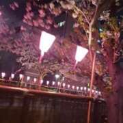 ヒメ日記 2025/04/07 16:25 投稿 ののか 奥様鉄道69 東京店