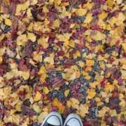 ヒメ日記 2025/10/02 10:05 投稿 ののか 奥様鉄道69 東京店