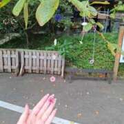 ヒメ日記 2025/10/12 14:05 投稿 ののか 奥様鉄道69 東京店