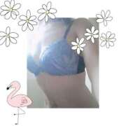 ヒメ日記 2025/12/17 20:27 投稿 柚希(ゆずき) 札幌人妻マドンナ