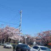 ヒメ日記 2026/04/28 15:36 投稿 柚希(ゆずき) 札幌人妻マドンナ