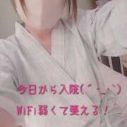 ヒメ日記 2026/06/18 15:03 投稿 柚希(ゆずき) 札幌人妻マドンナ