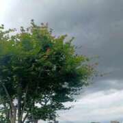 ヒメ日記 2026/06/23 17:18 投稿 柚希(ゆずき) 札幌人妻マドンナ