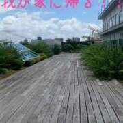ヒメ日記 2026/07/03 08:39 投稿 柚希(ゆずき) 札幌人妻マドンナ
