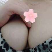 ヒメ日記 2025/11/08 09:56 投稿 ゆな 熟女の風俗最終章 町田店