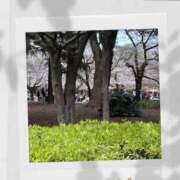 ヒメ日記 2025/04/15 00:14 投稿 わかな 奥鉄オクテツ東京店（デリヘル市場）